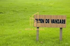 Teren 80 ari Monariu cu toate utilitatile - Poză 2