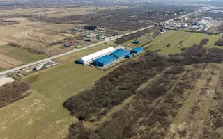 Teren extravilan de 7.000 mp lângă Păltiniș - Poză 11