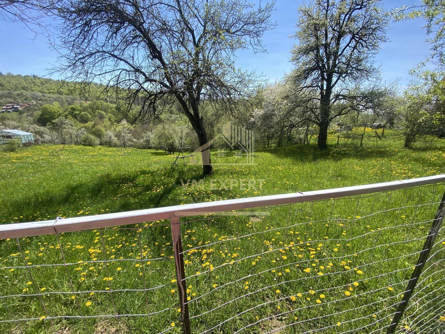 TEREN INTRAVILAN 3265 MP, VALEA MARE PRAVAT, ARGES - Poză 5