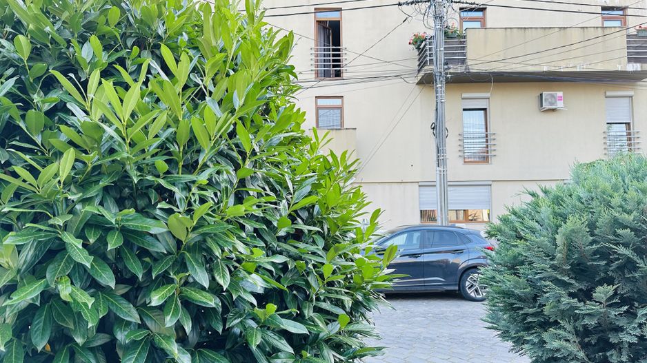 Strada Putna - Facultati Timisoara | 3 camere, spatios | Terasa, Et 1 - Poză 3