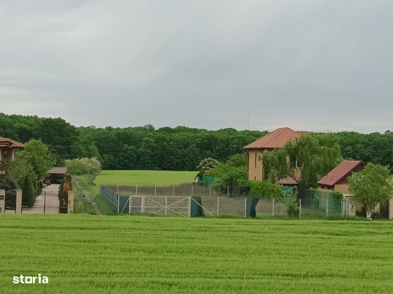 Casa de vânzare Ciofliceni com.Snagov - Poză 5
