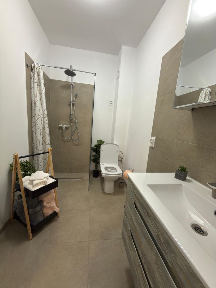 Garsoniera de inchiriat zona Damila Ford - Poză 4