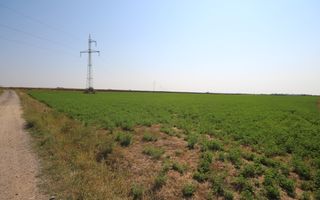 Teren arabil 3 ha - Sacalaz - Poză 3