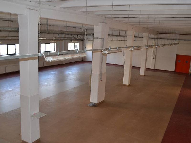 Hala de vanzare in zona Torontalului - Poză 7