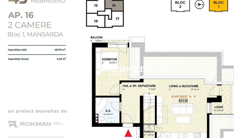 ROKMAN  LIVIU REBREANU 49 - Poză 11