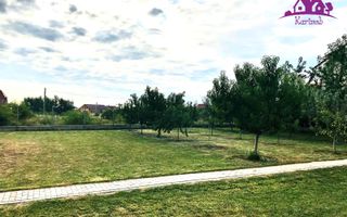 Casa lux in localitatea Sânmartin - Poză 19