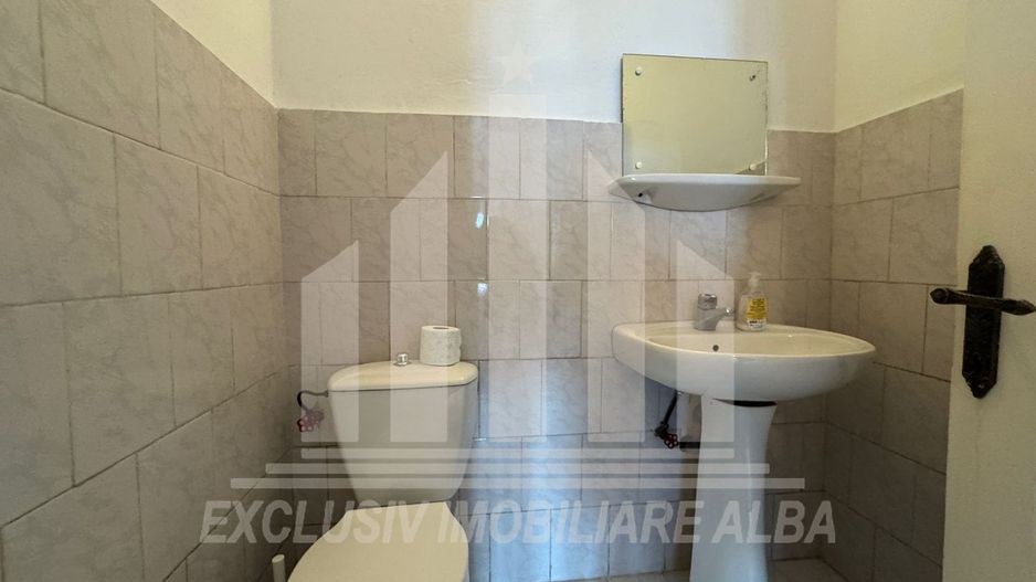 Casa individuala | De inchiriat | 320 mp | 750 mp teren | Cetate - Poză 4