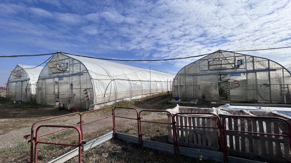 De vanzare-afacere la cheie - Poză 5