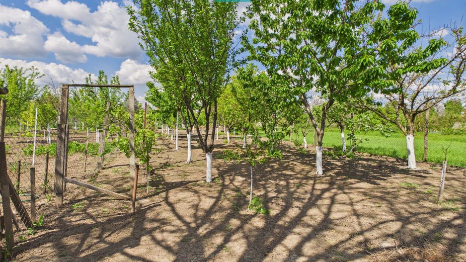 Casă la doar 6km de graniță cu România - Poză 3