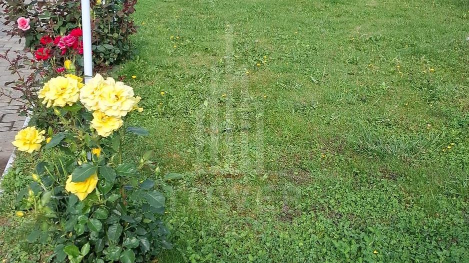 Casa de vanzare in exclusivitate | Avrig - Poză 6