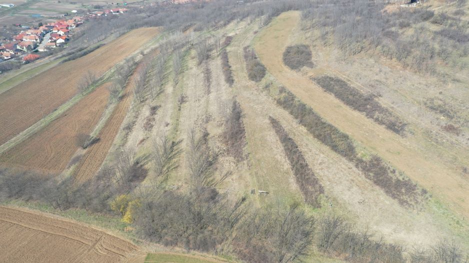 Teren intravilan in Ciugud - Poză 3