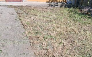Casă cu teren de 1.470 mp de vânzare – Fântânele, Scânteiești - Poză 10