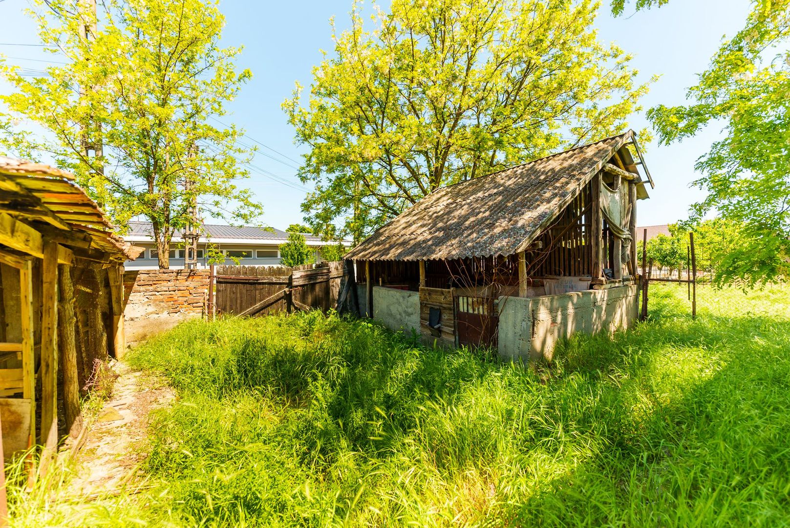 Casă cu potențial în Iratoș - Poză 30