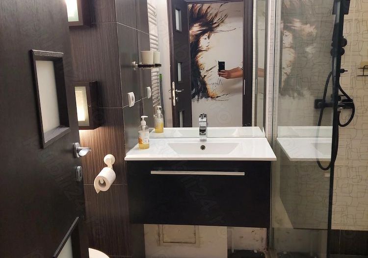 De Inchiriat Apartament Modern, 2 camere,  Calea Calarasilor - Poză 4