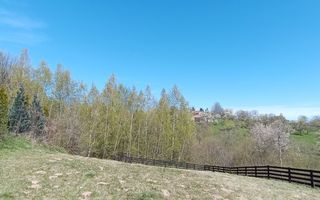 Teren intravilan cu priveliste frumoasa-Predelut - Poză 6