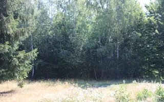 Terenuri Carpinis I parcelabil I Curent pe proprietati - Poză 15