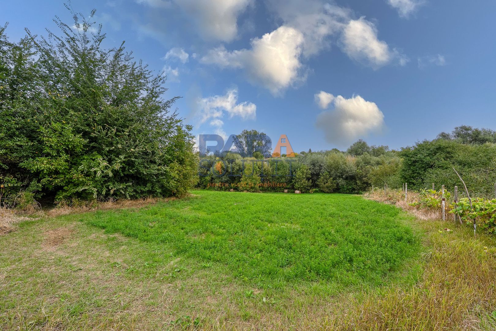 Casă interbelică + 3.060 mp intravilan, Trifești, 7,9 km de Roman - Poză 8