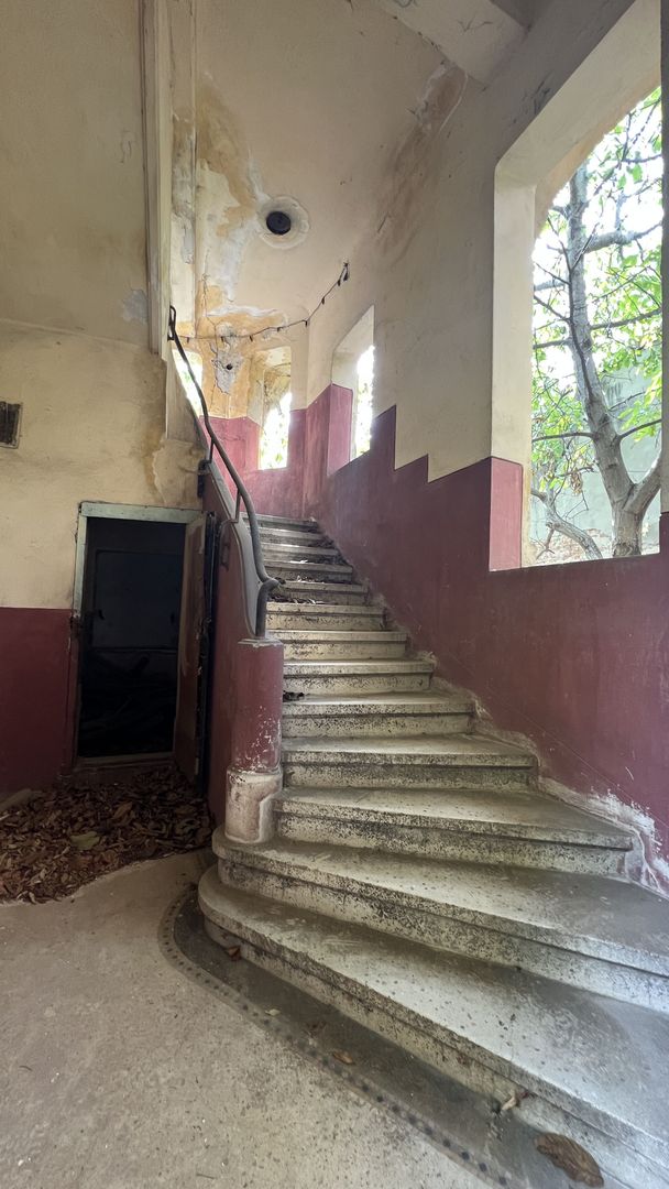 VILA INDIVIDUALA CISMIGIU | INTR. TEMISANA - Poză 12