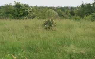 Teren Buftea cu iesire la lac - Poză 14