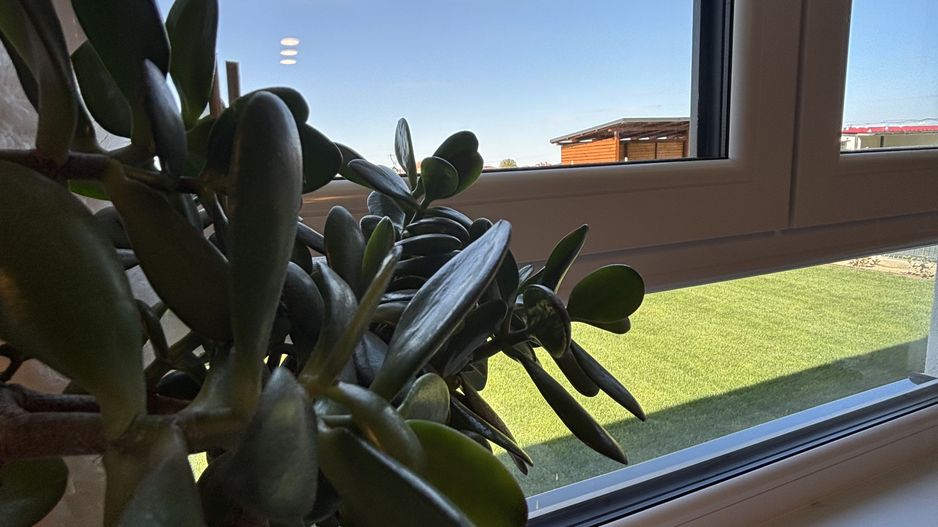 Lux și calitate în Mosnita Noua - Poză 24