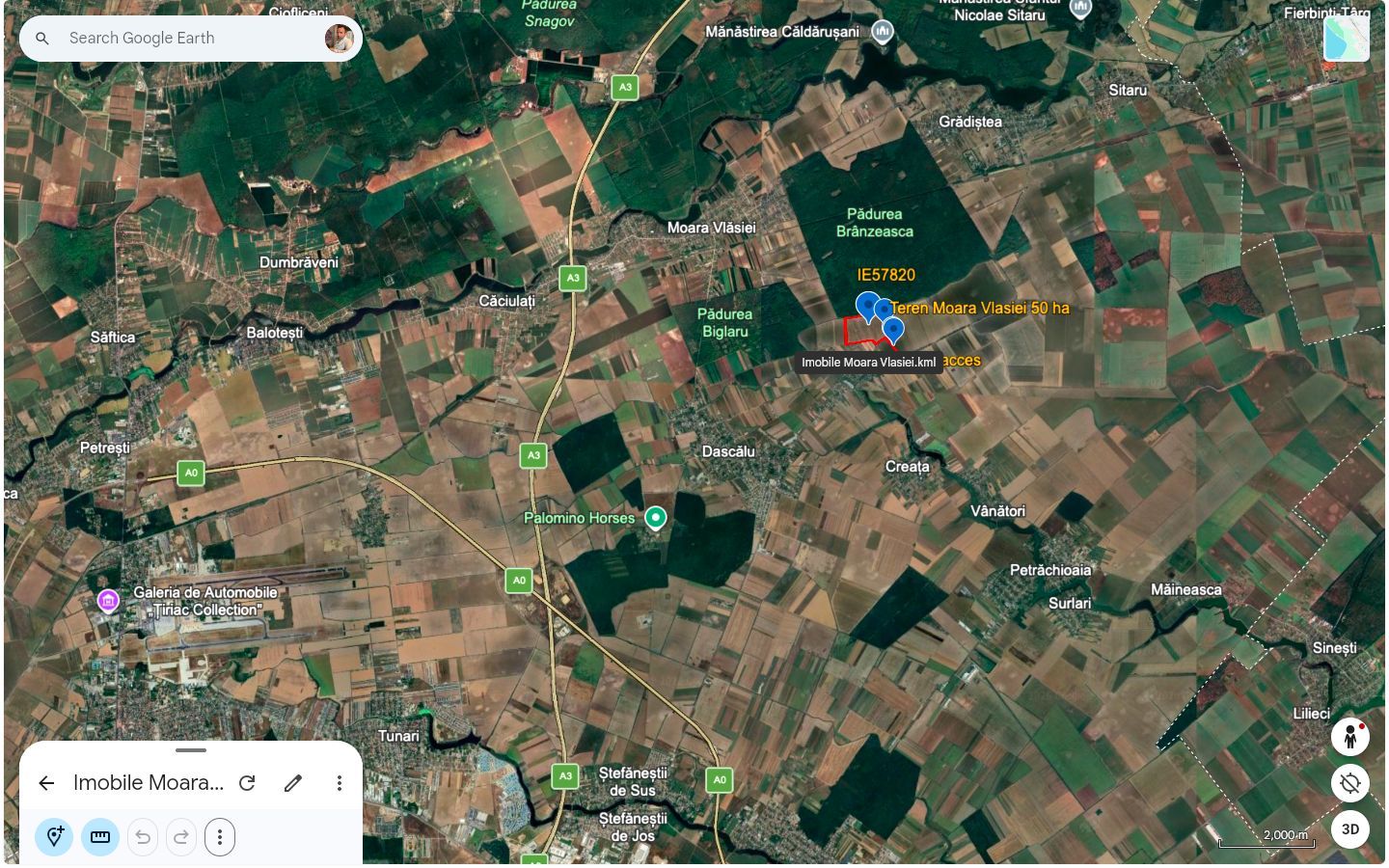 Teren intravilan 50,5 ha – Moara Vlăsiei - Poză 8