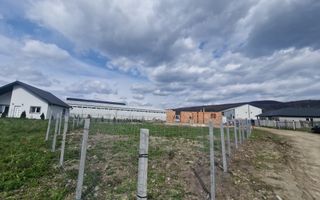 Teren Intravilan I 464 MPU I Talmaciu Zona Centrală - Poză 3