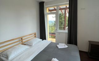 Casă de vacanță 9 camere de vânzare în Păltiniș cu piscina încălzită - Poză 13
