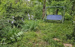 Vila de închiriat în Copou, gard în gard cu Grădina Botanică - Poză 6