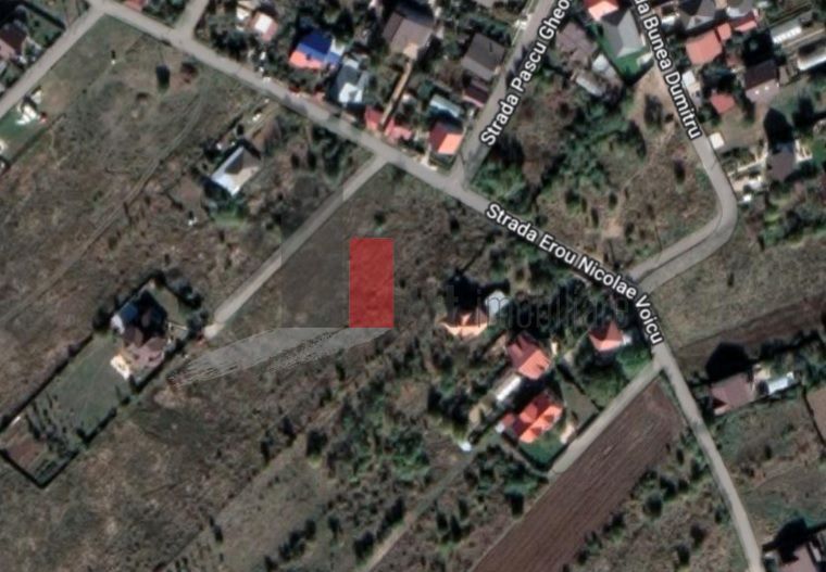 SUPER PRET - 5000 mp la 25 euro mp-Balotesti -  urbanism P+2 - Poză 1