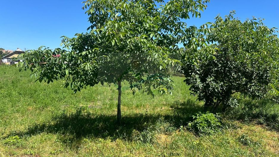 Casă de vânzare Zaharești/Suceava - Poză 12