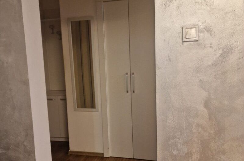 Apartament 2 camere Dristor Park Lake - Poză 13