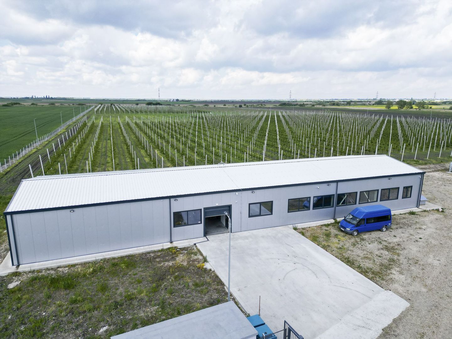 Oportunitate investiție: Livadă de Cireși și Hală - Poză 4