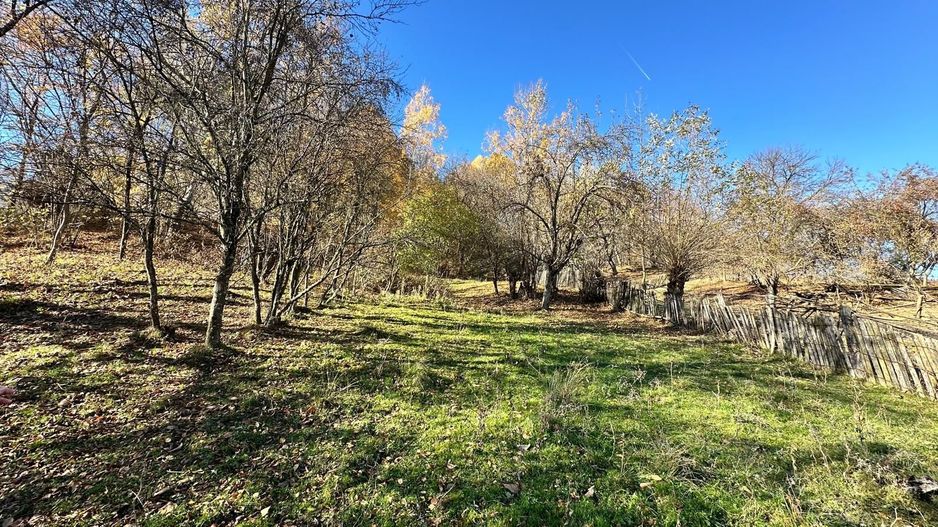 Teren 4044 mp, deschidere 60m, la 18 km de Campina, asfalt si curent - Poză 4