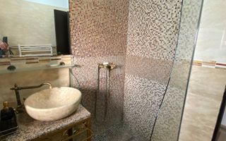 Cochet la intrare in Dumbravita - Poză 25