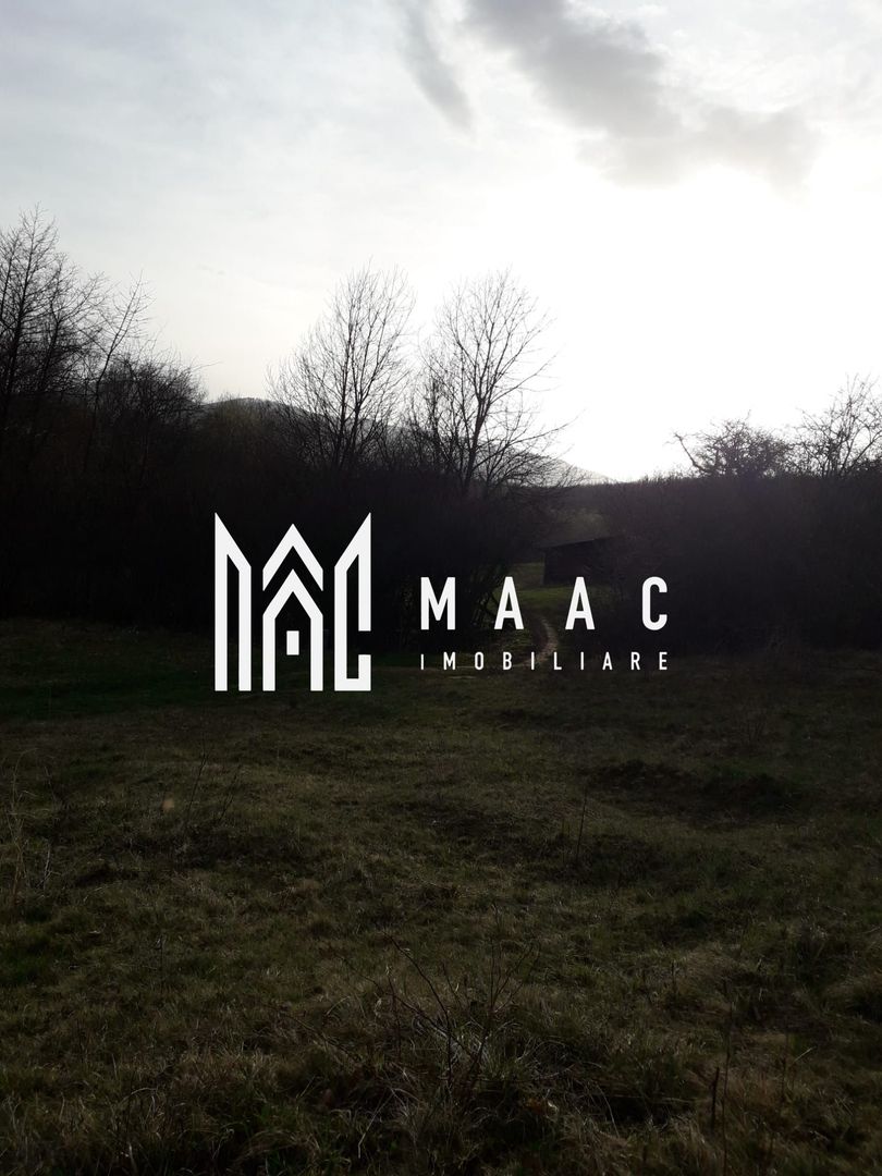 Teren Extravilan 4.572mp | Zonă liniștită | Sadu - Poză 6