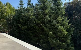 Penthouse pe doua niveluri, 5 camere, cu terase panoramice! Finisat - Poză 9