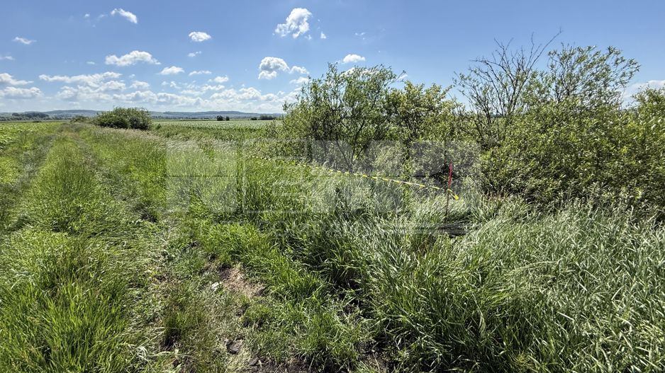 Teren extravilan de vânzare | Rădăuți | 4.000 mp - Poză 3