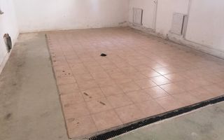 Spatiu industrial zona Sud-Arad - Poză 6