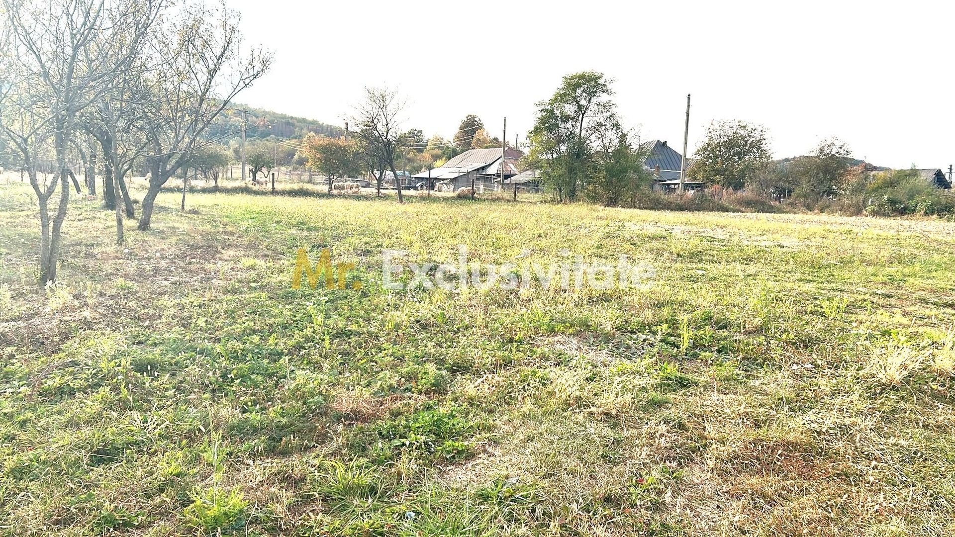 Teren intravilan – 1.135 mp, sat Crampotani, com. Merisani - Poză 1