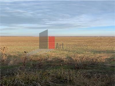 Vanzare Teren  10 400mp  Stefanesti - Padurea Runcu - Poză 6