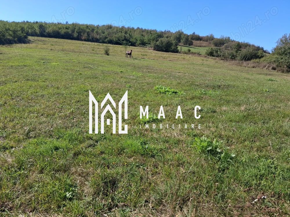 Teren | 3.600 mp | Ariușd | Lângă Olt | 25 km de Brașov - Poză 1