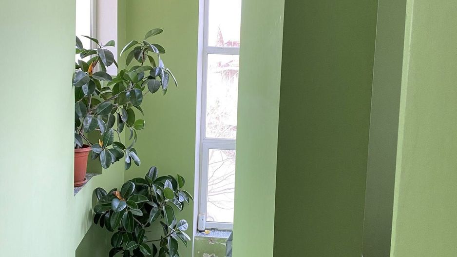 Vilă spațioasă de vânzare – Snagov, Ghermănești - Poză 19