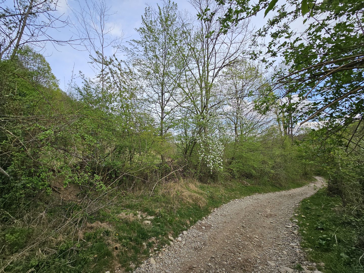 Teren intravilan 1454 mp la marginea padurii zona locuita de case! - Poză 14