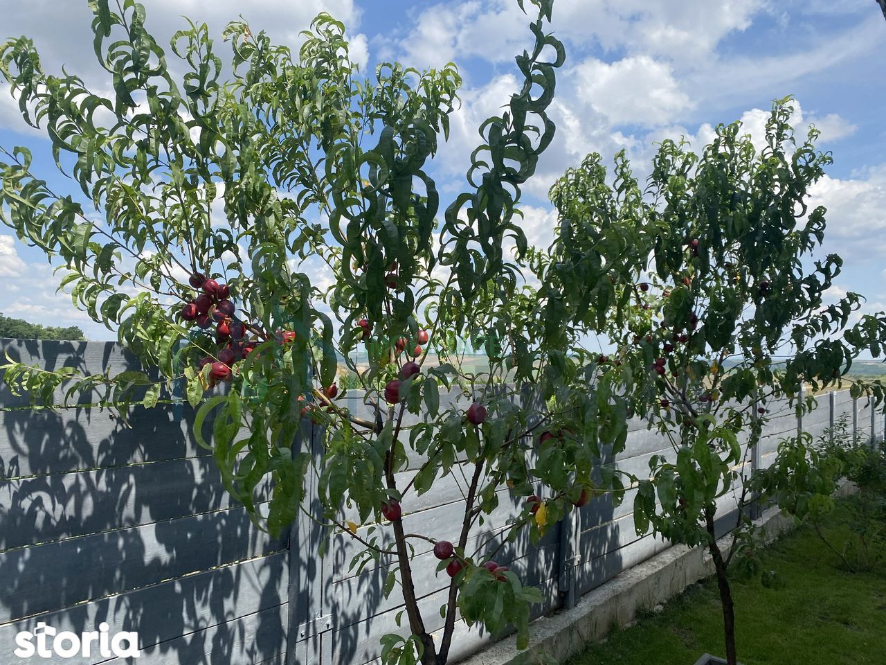 Casă parter 115 mp utili, 3 dormitoare, 2 băi, mobilată și utilată, Breazu–Iași - Poză 10