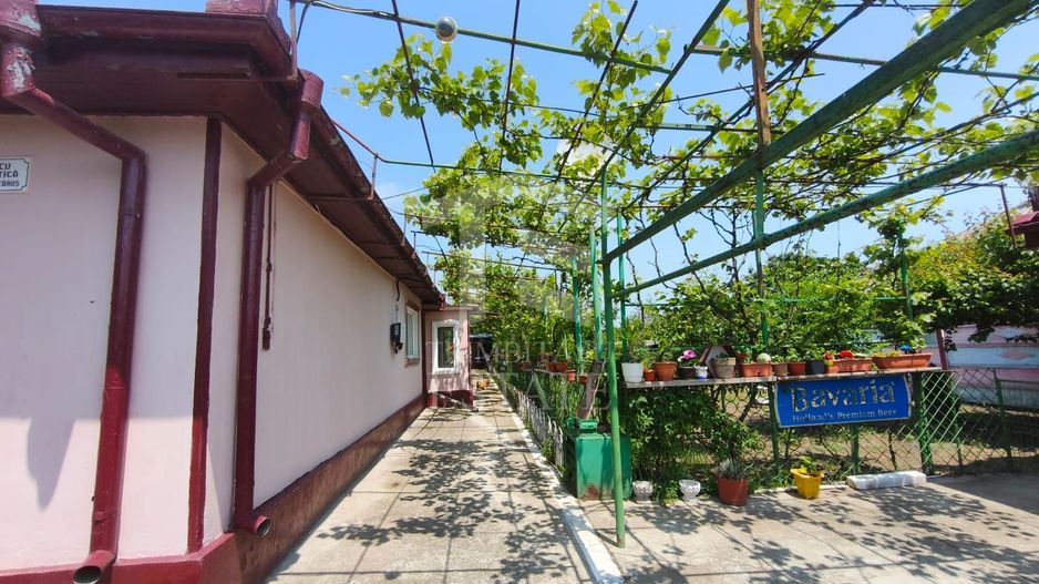 CASA  POIANA | PANOURI SOLARE | TEREN 800 MP - Poză 2