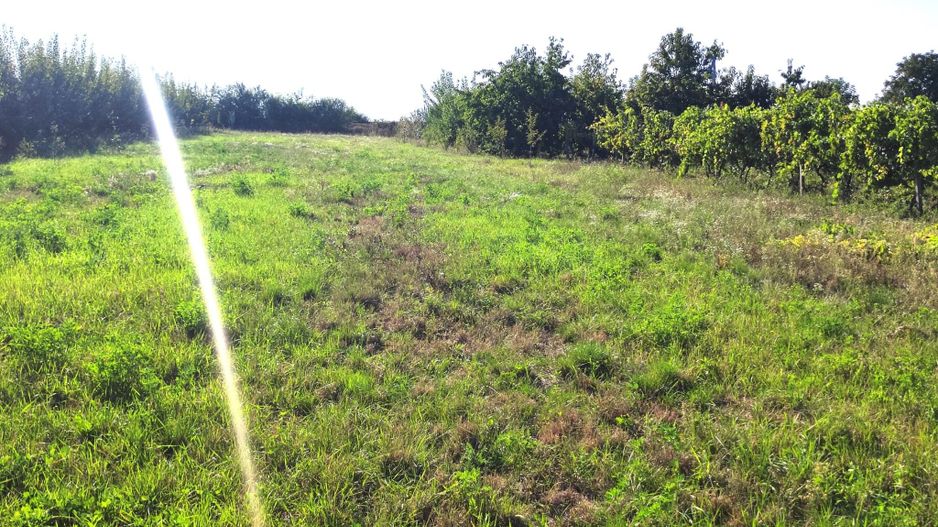 Casa Biharia - Poză 4