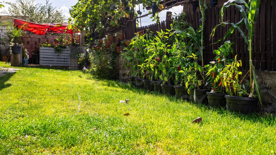 Vânzare, casă, 200 mp, str. Livezilor, Orhei - Poză 8