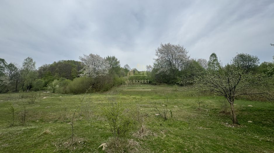 TEREN EXTRAVILAN 40000 MP, ALBESTI DE MUSCEL, CANDESTI - Poză 5