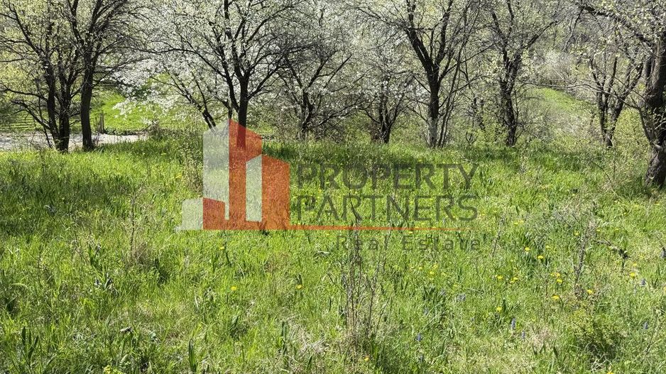 Teren 2500 mp Sohodol - Poză 11