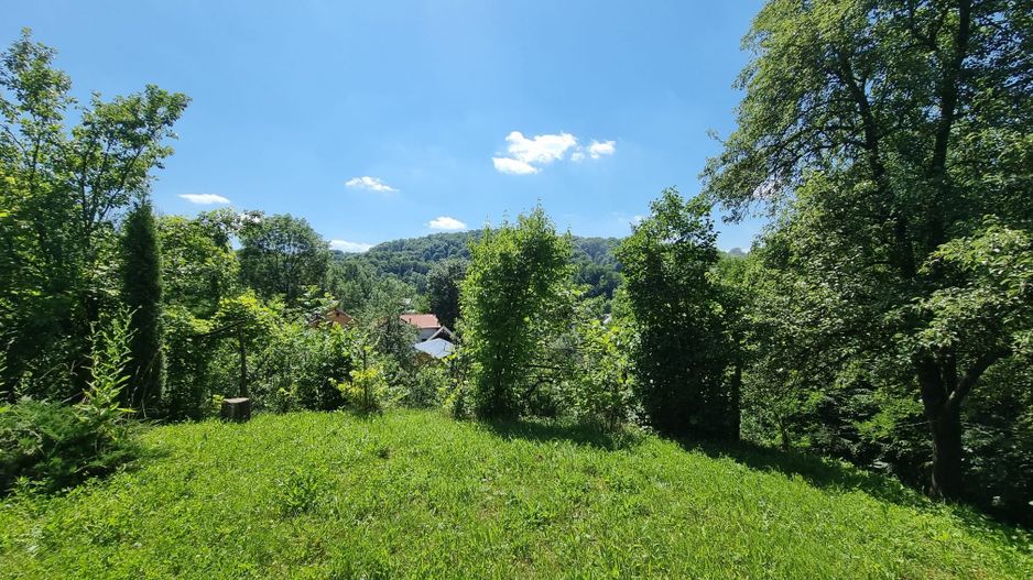 Casa de la marginea padurii! - Poză 6